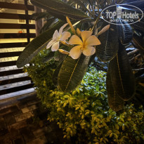 фото из отзыва ID 2679181