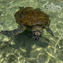 фото из отзыва ID 2679181