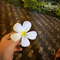 фото из отзыва ID 2679181