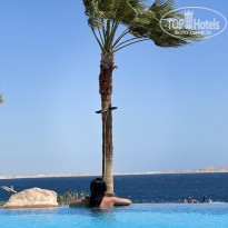 фото из отзыва ID 2678854