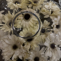 фото из отзыва ID 2678854