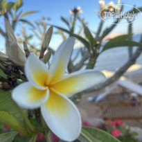 фото из отзыва ID 2678854