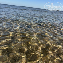 фото из отзыва ID 2678854