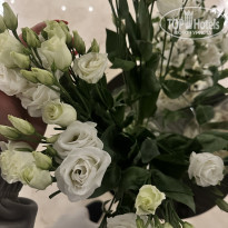 фото из отзыва ID 2678854