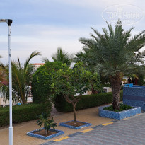 фото из отзыва ID 2679194