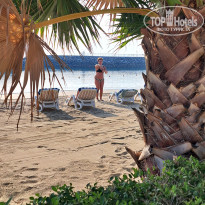 фото из отзыва ID 2679194