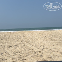 фото из отзыва ID 2679191