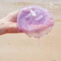 фото из отзыва ID 2679219