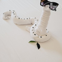 фото из отзыва ID 2679219