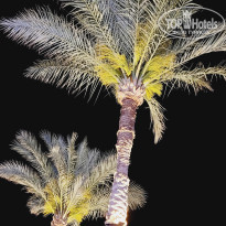 фото из отзыва ID 2679219