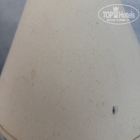 фото из отзыва ID 2679228