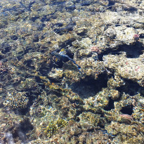 фото из отзыва ID 2679269