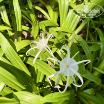 фото из отзыва ID 2679265