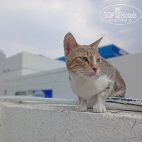 фото из отзыва ID 2677764