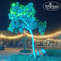 фото из отзыва ID 2677764