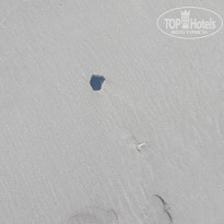 фото из отзыва ID 2677764