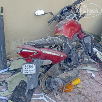 фото из отзыва ID 2677764