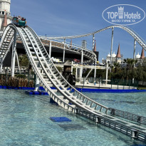 фото из отзыва ID 2679327