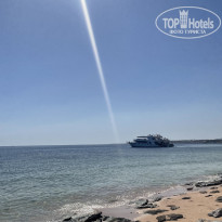 фото из отзыва ID 2679338