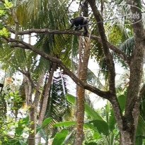 фото из отзыва ID 2679350