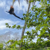 фото из отзыва ID 2679350