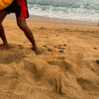 фото из отзыва ID 2679350