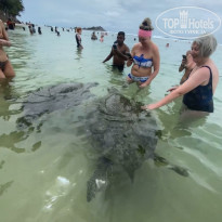 фото из отзыва ID 2679350