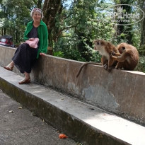 фото из отзыва ID 2679350