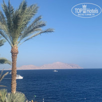 фото из отзыва ID 2679372