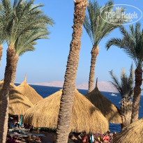 фото из отзыва ID 2679372