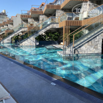 фото из отзыва ID 2679433