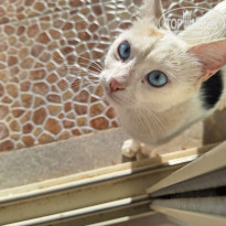 фото из отзыва ID 2679434