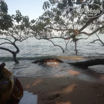 фото из отзыва ID 2679442