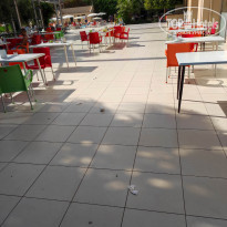 фото из отзыва ID 2679460