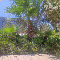 фото из отзыва ID 2679460