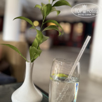 фото из отзыва ID 2679453