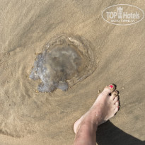 фото из отзыва ID 2679494