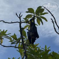 фото из отзыва ID 2679528