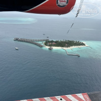 фото из отзыва ID 2679528