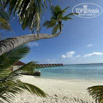 фото из отзыва ID 2679528