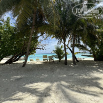 фото из отзыва ID 2679528