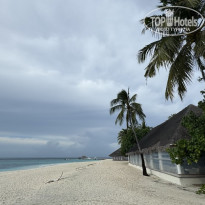 фото из отзыва ID 2679528