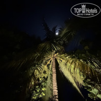 фото из отзыва ID 2679528