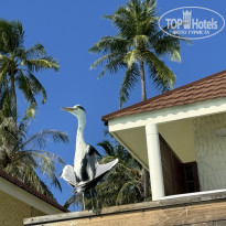 фото из отзыва ID 2679528