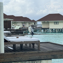 фото из отзыва ID 2679528