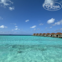 фото из отзыва ID 2679528