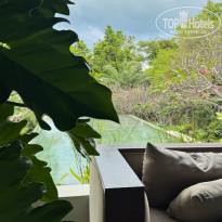 фото из отзыва ID 2679562