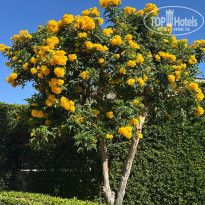 фото из отзыва ID 2679578