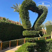 фото из отзыва ID 2679578