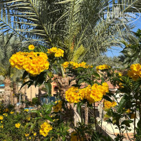 фото из отзыва ID 2679578